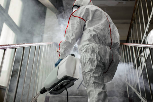 Best Emergency Mold Remediation  in Ancient Oaks, PA